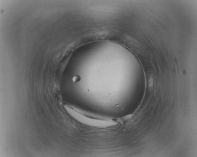 X0000076381204200610202031