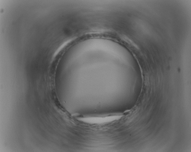 X0000076381208200610202031