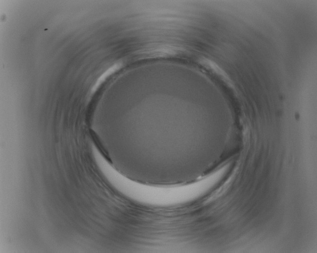 X0000076381210200610202031