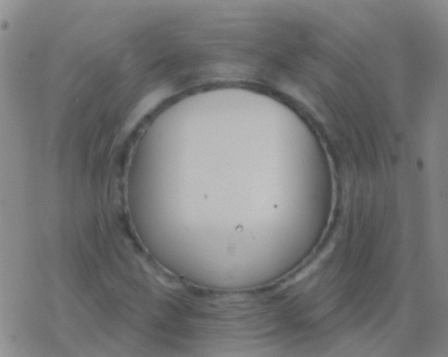 X0000076381211200610202031