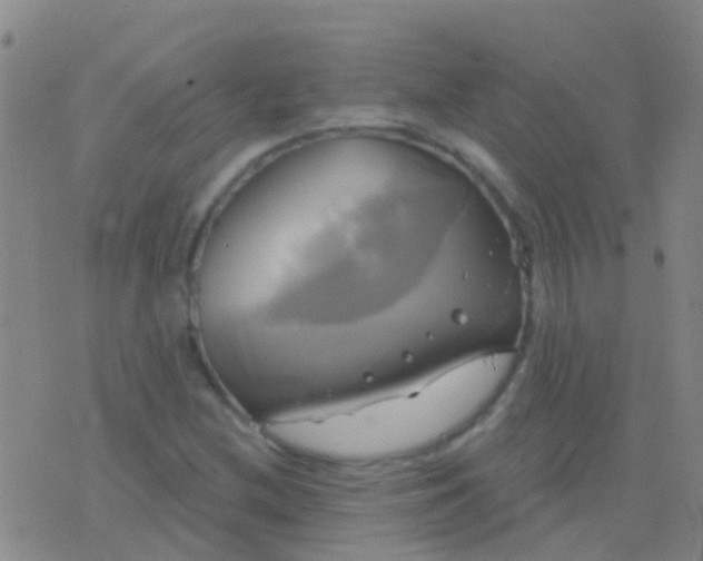 X0000076381212200610202031