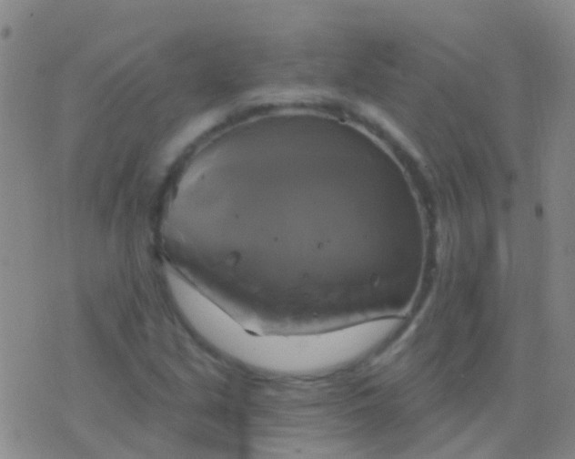 X0000076381213200610202031