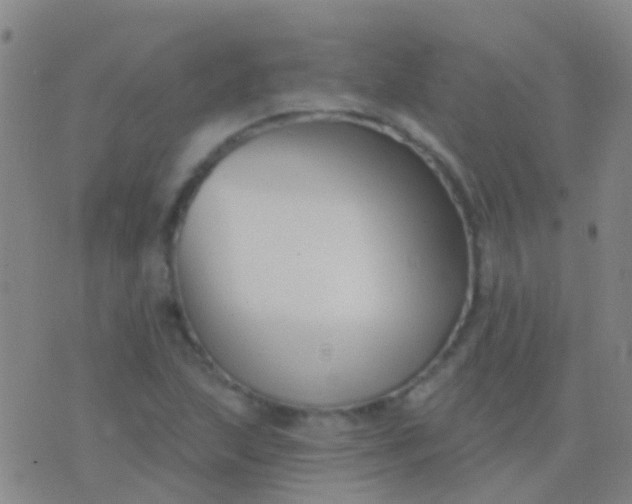 X0000076381215200610202031