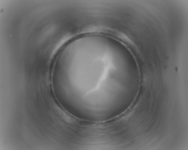 X0000076381216200610202031