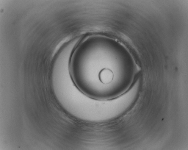 X0000076381218200610202031