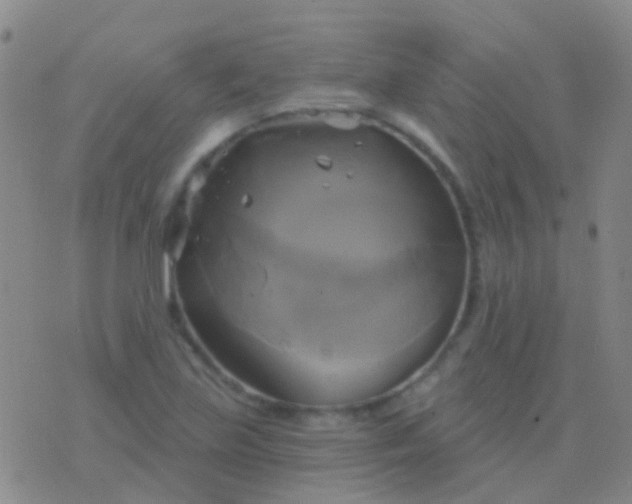 X0000076381219200610202031