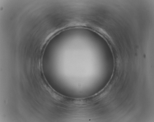 X0000076381220200610202031