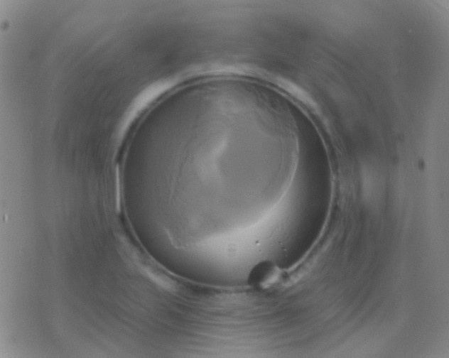 X0000076381223200610202031