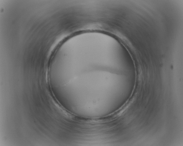 X0000076381224200610202031