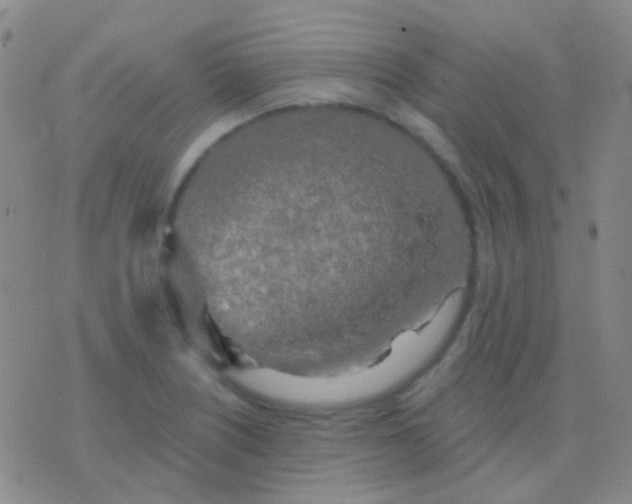 X0000076381226200610202031