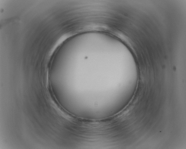 X0000076381227200610202031