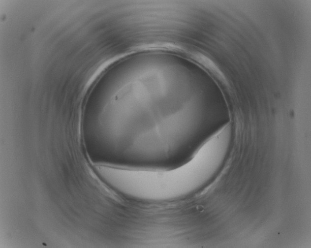 X0000076381228200610202031