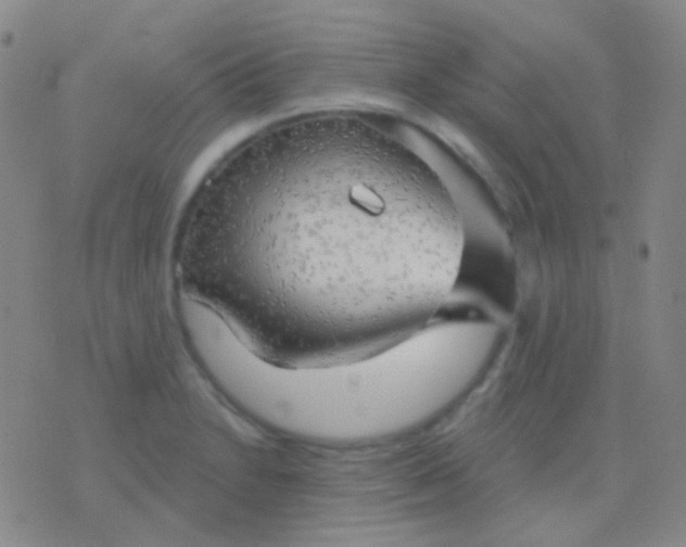 X0000076381230200610202031