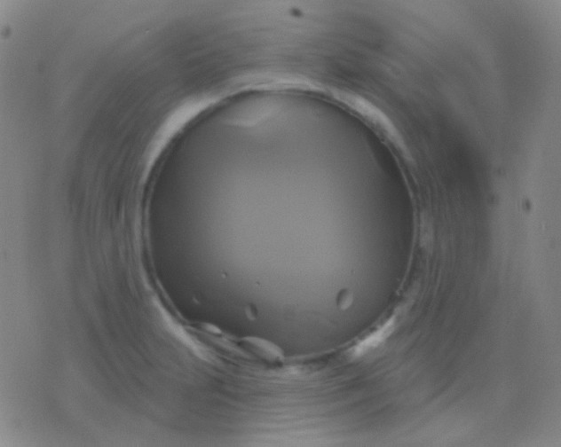 X0000076381231200610202031