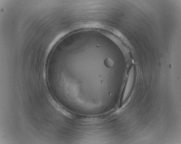 X0000076381232200610202031