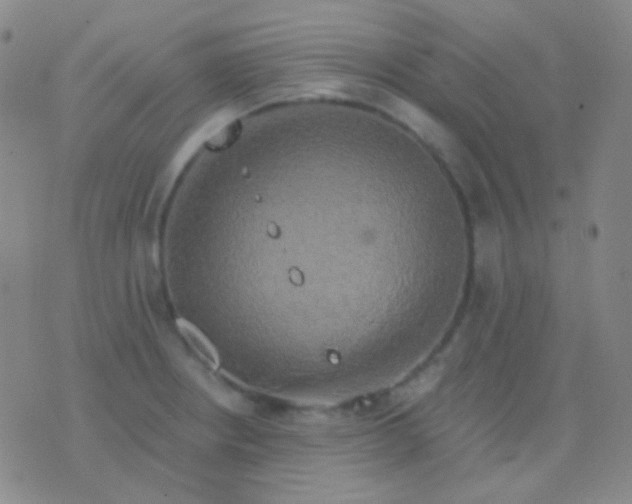 X0000076381234200610202031