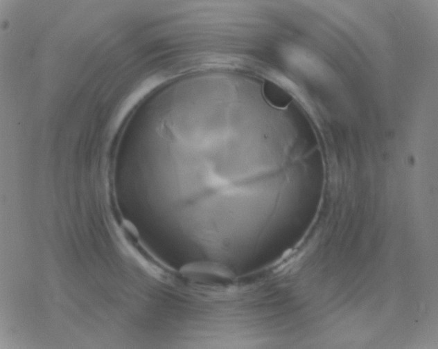 X0000076381235200610202031