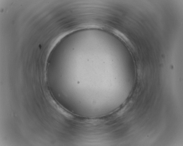 X0000076381236200610202031