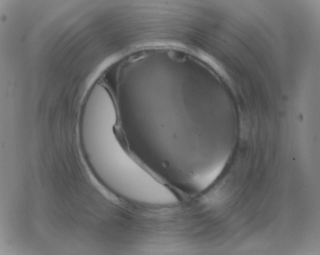 X0000076381237200610202031