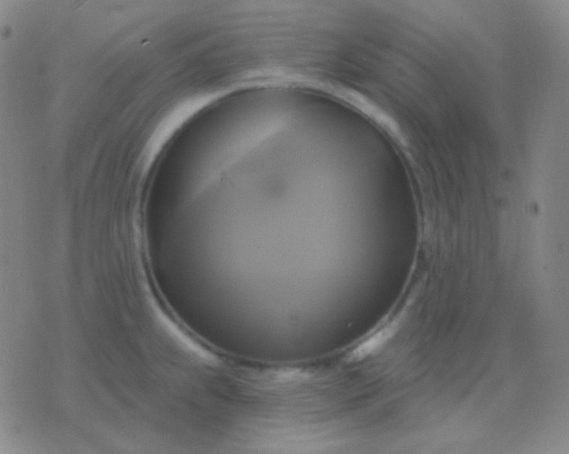 X0000076381239200610202031