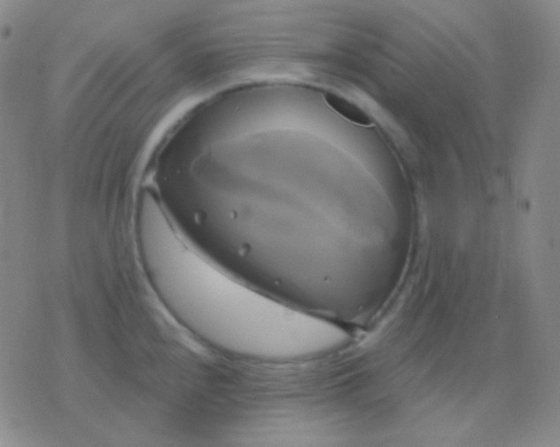 X0000076381240200610202031