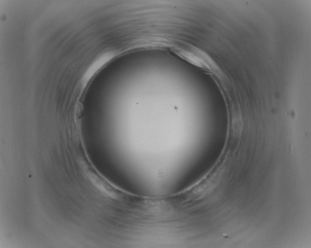 X0000076381242200610202031