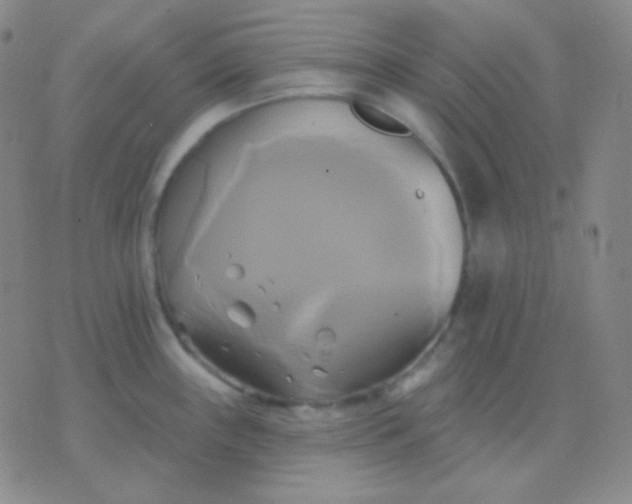 X0000076381243200610202031