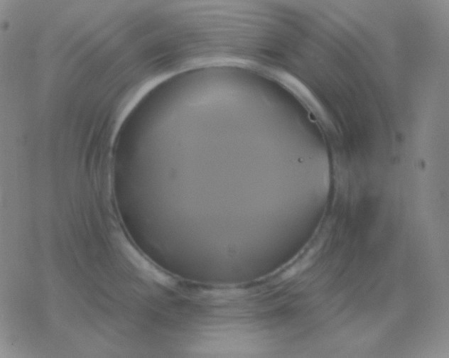 X0000076381244200610202031