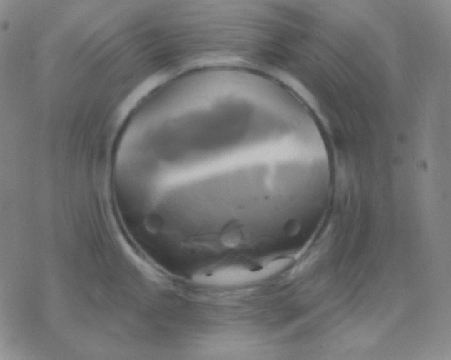 X0000076381245200610202031