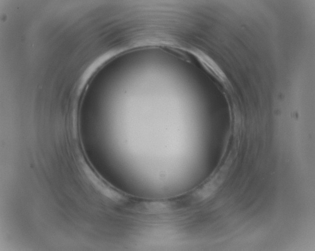 X0000076381246200610202031