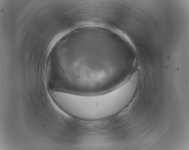 X0000076381247200610202031