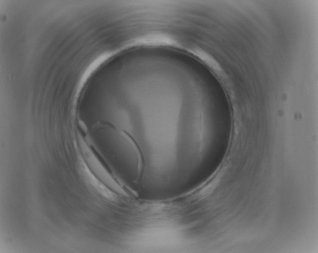 X0000076381248200610202031