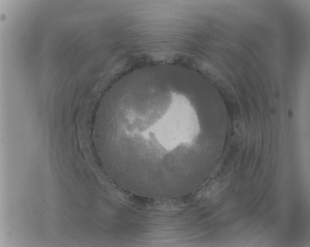 X0000076381249200610202031