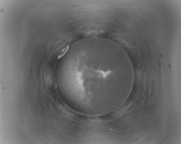 X0000076381250200610202031