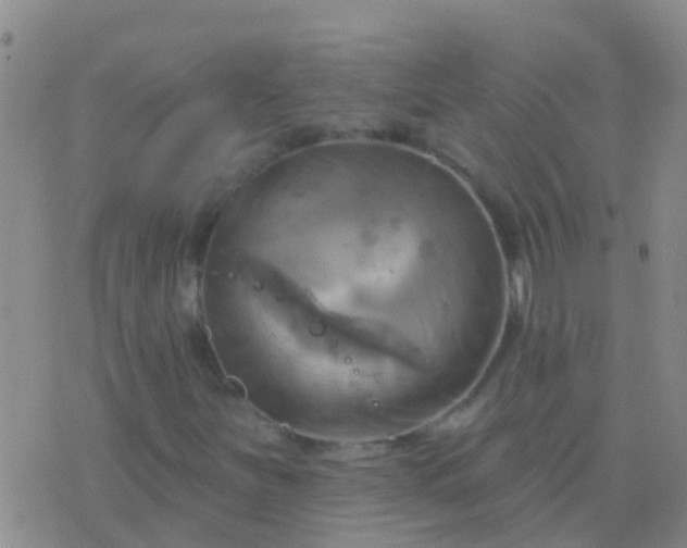 X0000076381251200610202031