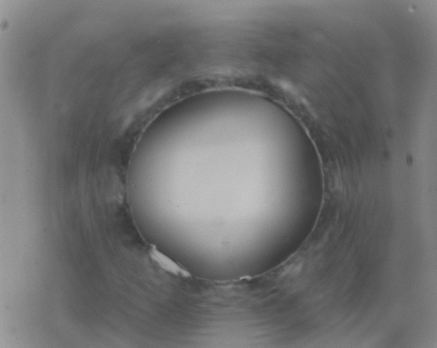 X0000076381253200610202030