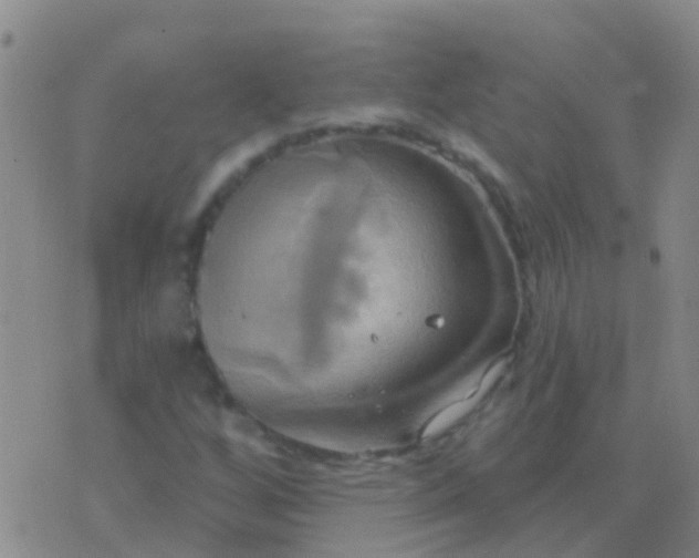 X0000076381256200610202030