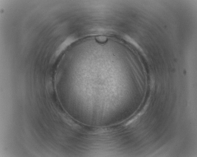 X0000076381259200610202030