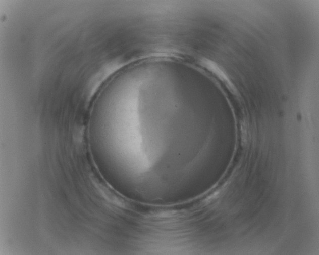 X0000076381260200610202030