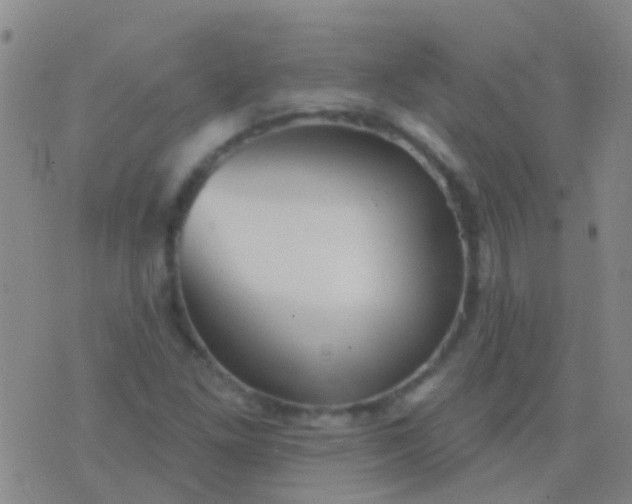 X0000076381261200610202030