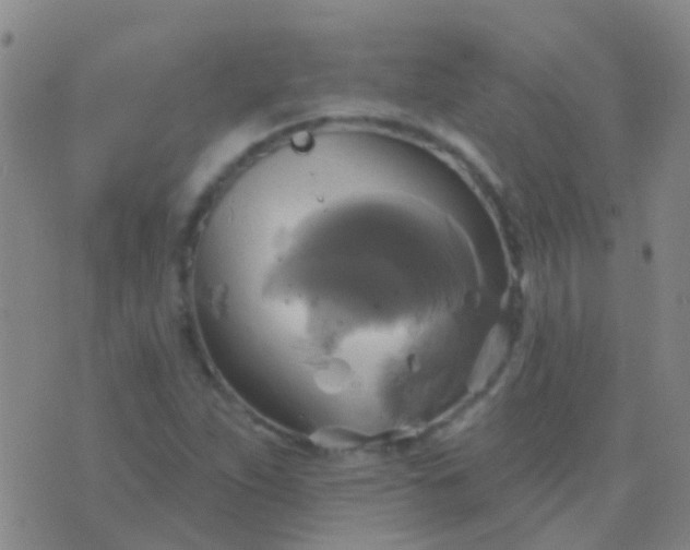 X0000076381263200610202030