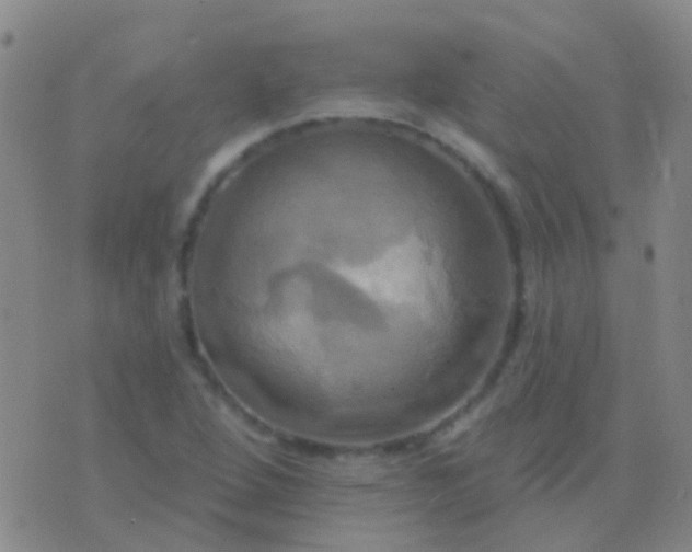 X0000076381264200610202030