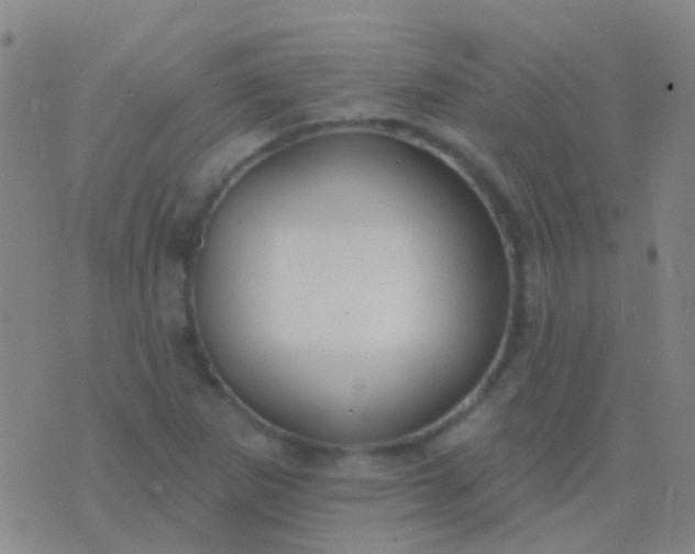 X0000076381265200610202030