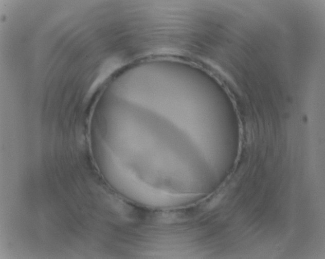 X0000076381266200610202030