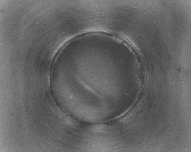 X0000076381268200610202030