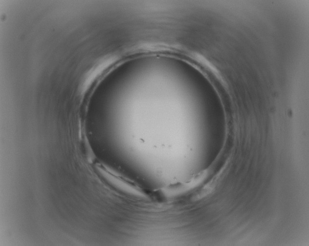 X0000076381269200610202030