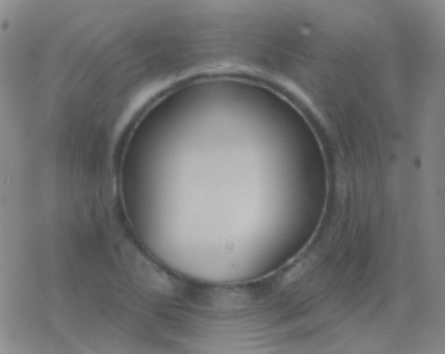 X0000076381270200610202030