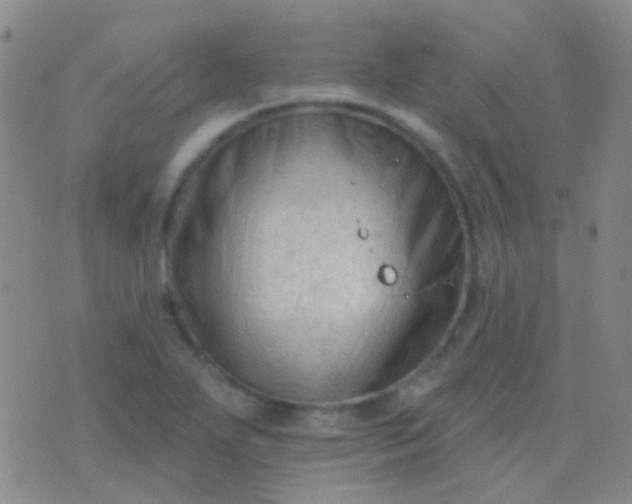 X0000076381271200610202030