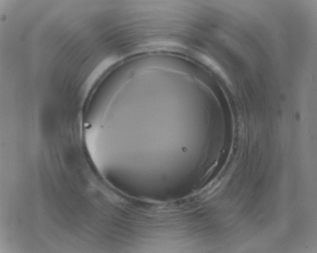 X0000076381275200610202030