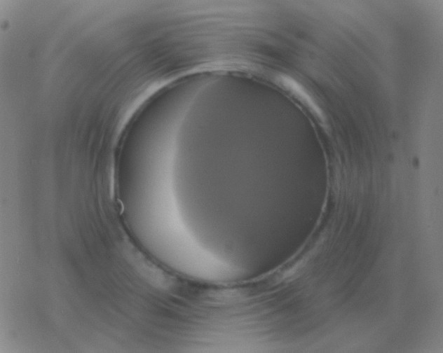 X0000076381276200610202030